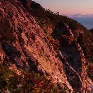 Meet your Posher, Ian